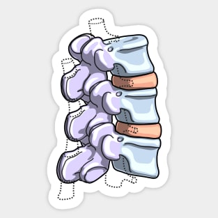 Lumbar Vertebrae Illustration Sticker